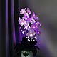 Ночник орхидеи фаленопсис "Звездная ночь", Ночники, Сургут,  Фото №1