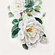 PRINT White rosehip, watercolor. Pictures. Belasla. Online shopping on My Livemaster.  Фото №2