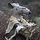 Granny Rat with baby rats, Dolls, Volzhsky,  Фото №1