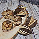 Dried flowers Lily flower (wild Lily), 1 piece, Dried flowers for creativity, Moscow,  Фото №1