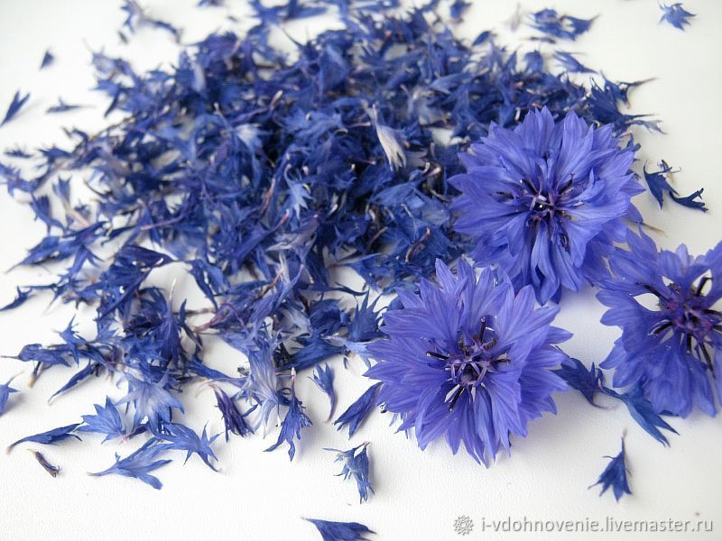 Cornflower Blue С†РІРµС‚