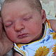  Realborn Carol. Куклы Reborn. 'куклы реборн '. Ярмарка Мастеров.  Фото №12