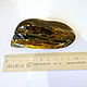 Souvenir piece of amber St-162, Pendants, Svetlogorsk,  Фото №1