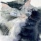 "Малыш" акварель (коты, животные, кошки). Картины. 'Море внутри' Надежда. Ярмарка Мастеров.  Фото №5
