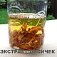 Лисичек экстракт, Экстракты, Набережные Челны,  Фото №1