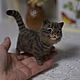 Полосатый кот Васенька. Войлочная игрушка. Войлочная игрушка. Войлочные зверики Людмилы Демидович. Ярмарка Мастеров.  Фото №5