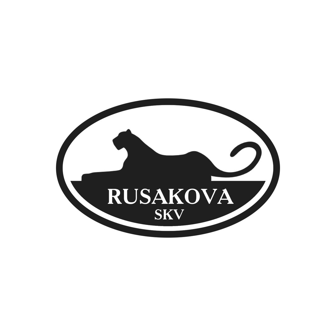 Мой профиль