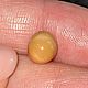 Природный жемчуг Мело(Melo), 3,43ct, Минералы, Москва,  Фото №1