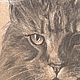  ' Portrait of a cat' - pastel drawing. Pictures. flamemilady. My Livemaster. Фото №5