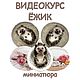 Заказать Мастер-классы и видеокурсы по сухому валянию. Elena Kreativ. Ярмарка Мастеров. . Войлочная игрушка Фото №3