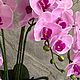 Композиции из орхидей Real touch. Композиции. Lavender.decor (Эльмира). Интернет-магазин Ярмарка Мастеров.  Фото №2