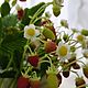 Земляника из полимерной глины(холодный фарфор). Растения. loryfleur. Ярмарка Мастеров.  Фото №8