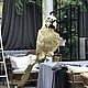  статуя 2,1 метра Попугай ара, Скульптуры, Москва,  Фото №1