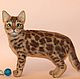 Bengal cat, Stuffed Toys, Moscow,  Фото №1