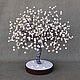 Árbol del dinero de la felicidad de las perlas, Trees, Maikop,  Фото №1