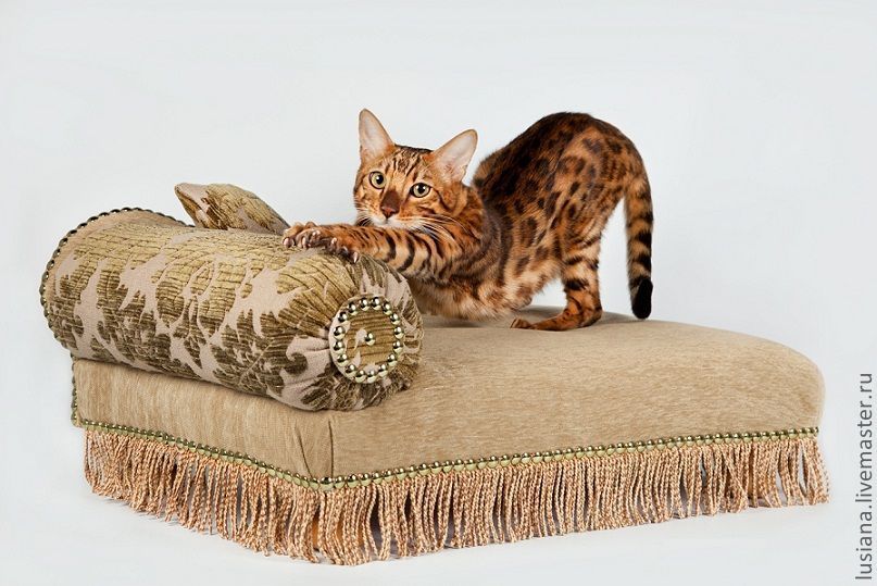 Cat sofa оригинал купить. Диван кошка. Лежанка для кота. Лежак для кошки. Диванчик для кошки.
