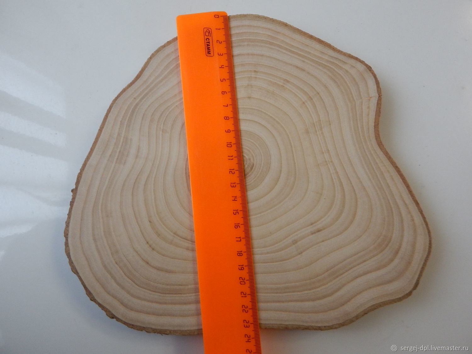 Спил ясеня (диаметр 25 на 27 см, высота 2,5 см.) – купить на Ярмарке ...
