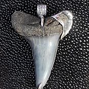 Украшения handmade. Livemaster - original item Pendant with a fossilized shark tooth. Handmade.