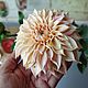 Заказать Георгин Cafe au Lait. Полимерная глина (холодный фарфор). Lovely flower. Ярмарка Мастеров. . Букеты Фото №3