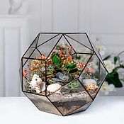 Флорариумы: Форма для флорариума Куб из стекла и олова ручная работа