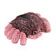  паук из натурального меха кролика рекс и песца. Мягкие игрушки. Holich Toys Наталья Холкина. Интернет-магазин Ярмарка Мастеров.  Фото №2