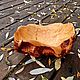 Заказать Чаша-раковина из сувеля березы. Вишня-черешня. Ярмарка Мастеров. . Элементы интерьера Фото №3