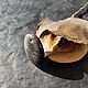 Заказать Серебряный обсидиан кабошон с отверстием. Gems for Art (Indianstones). Ярмарка Мастеров. . Кабошоны Фото №3
