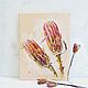 Картина "Protea". Картины. DUSD ART design. Ярмарка Мастеров.  Фото №6