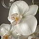 Заказать Белая орхидея из холодного фарфора. YULIYA. Ярмарка Мастеров. . Композиции Фото №3