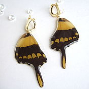 Украшения handmade. Livemaster - original item Long Earrings Real Butterfly Wings Black Yellow Autumn Gilding. Handmade.