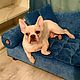 Sofa for dogs / cats to order in size, Lodge, Ekaterinburg,  Фото №1