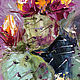 Кактусы цветут, картина для кухни, картина с цветами. Картины. Мария Роева  Картины маслом (MyFoxyArt). Ярмарка Мастеров.  Фото №6