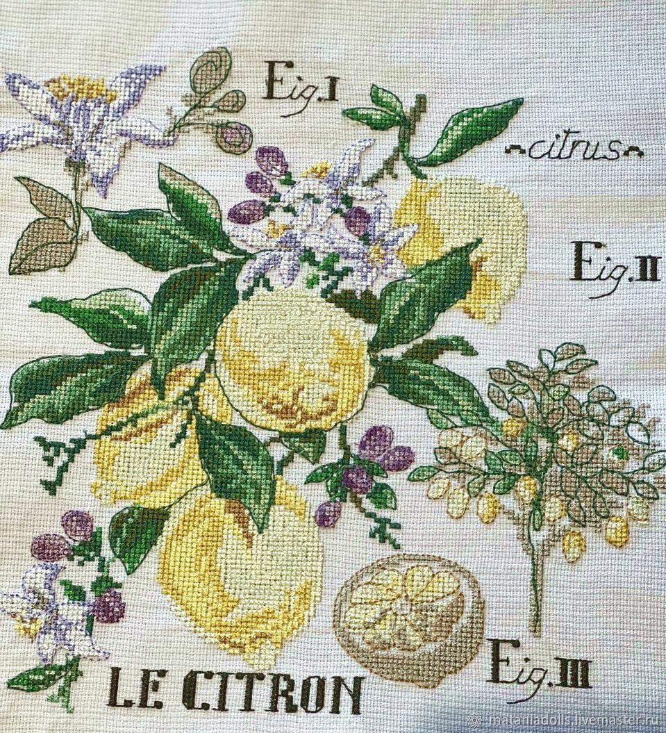 Оригинал вышивки «Букет хризантем с лимонами»