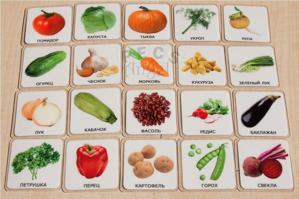 Что называют овощами. Карточки. Овощи. Овощи названия. Карточки овощи и фрукты. Овощи с названиями для детей.