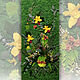  Картина из стабилизированных цветов и растений, Стабилизированный мох, Москва,  Фото №1