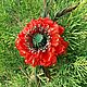 Flower brooch ' poppy'. Brooches. fancyflower. Online shopping on My Livemaster.  Фото №2