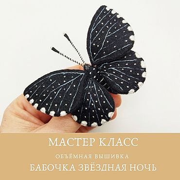 Мастер-класс вышивки бабочки из пластиковой канвы