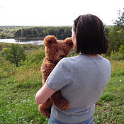 Teddy Bears: Bear Ginger
