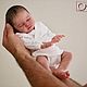 Торс! JUNIPER от Andrea Arcello. Куклы Reborn. Knopkadoll. Ярмарка Мастеров.  Фото №5
