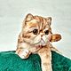 Котенок. Мягкие игрушки. Инна Вишевская. Ярмарка Мастеров.  Фото №5