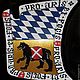 painted shields. Shield. lystik (lystik). Online shopping on My Livemaster.  Фото №2