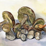 Картины и панно handmade. Livemaster - original item Pictures: White went. Still life with mushrooms. Watercolor. Handmade.