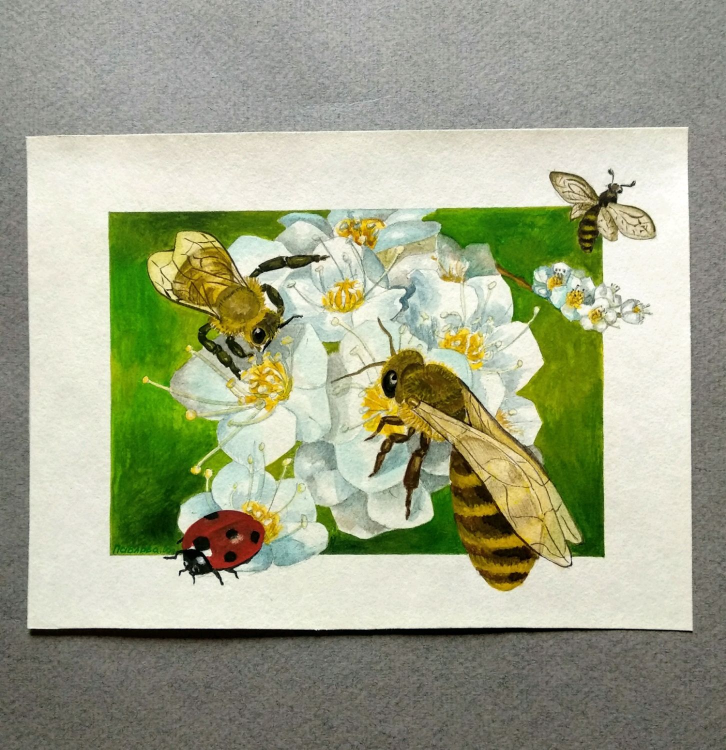 Картины с пчелами
