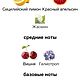 Духи ручной работы, реплика аромата «Кью» 15 мл. Духи. Ольга и Людмила (honeybee-soapbar). Ярмарка Мастеров.  Фото №4