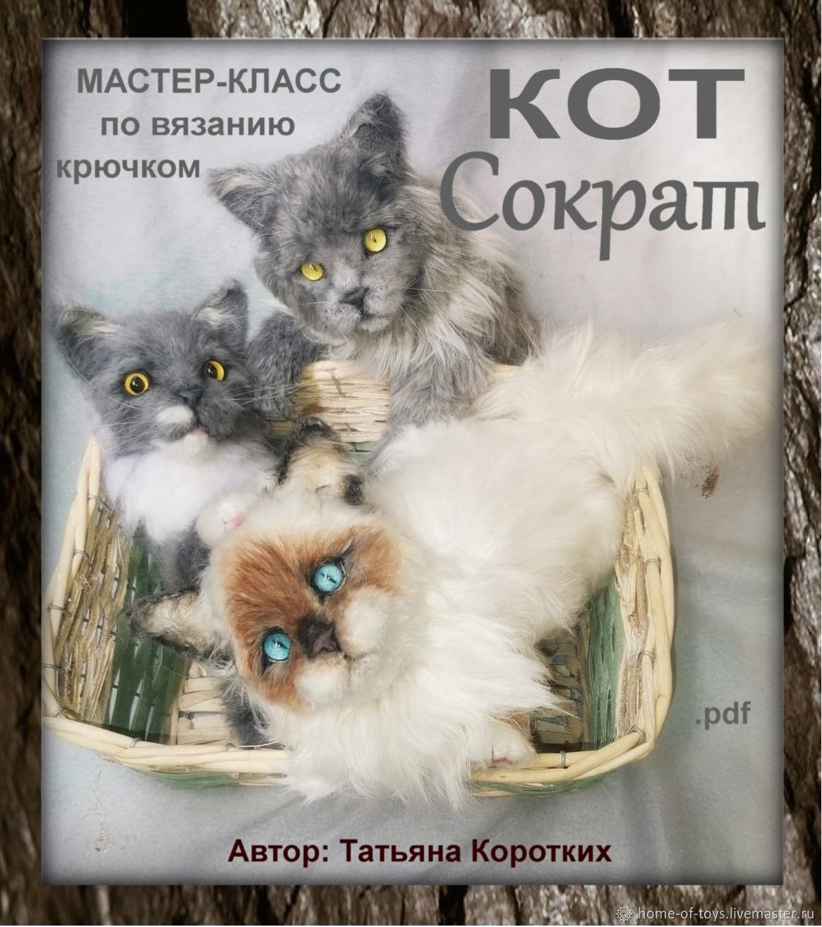 Котик класс. Кот Сократ. Книга про кота Сократа. Кот Сократ Татьяна коротких. Мастер-класс кот Сократ [Татьяна коротких].