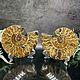 Ammonite is a natural fossil. An unusual gift art 751, Stones, Moscow,  Фото №1