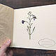 Micro album for herbarium Flower (10 light sheets). Photo albums. Albums and notebooks (Anna). My Livemaster. Фото №5