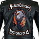 Biker stripe on the back of the eagle of freedom. Indian Freedom Eagle, Patches, St. Petersburg,  Фото №1