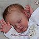 Торс! JUNIPER от Andrea Arcello. Куклы Reborn. Knopkadoll. Ярмарка Мастеров.  Фото №4