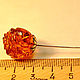 Order Amber. Brooch 'Bud'. Amber is a warm stone. Livemaster. . Brooches Фото №3